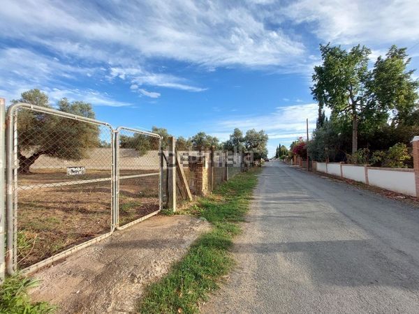 Foto c1d019f1-e00e-47c0-93e7-571e809ebd52. Terreny residencial a Arco Norte - Avda España Dos Hermanas