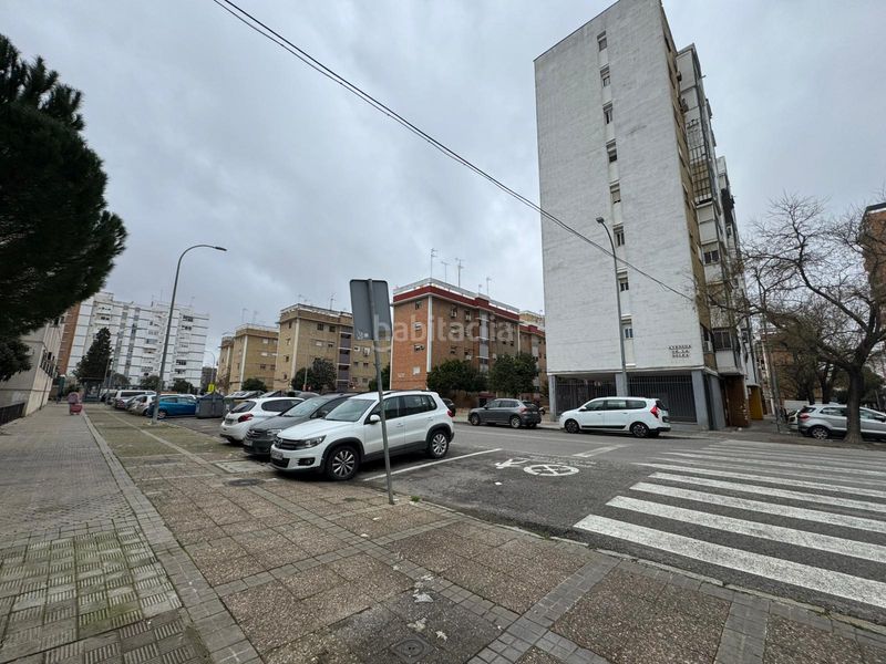 Foto affafd96-d09a-4791-a639-25e778753c31. Pis a San Pablo Sevilla