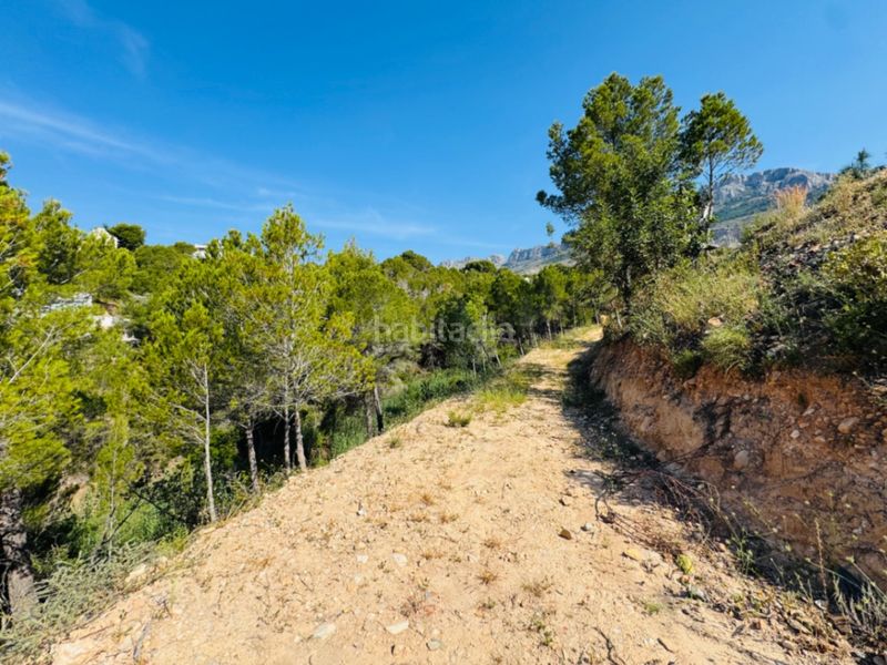 Foto ce5fac8f-5010-4a9b-b74b-cbe362e9ea6f. Terreny residencial a Altea la vella Altea