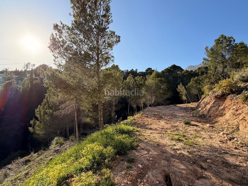 Foto f1e44e61-84fb-4f5a-bcac-745c9ea8c961. Terreny residencial a Altea la vella Altea
