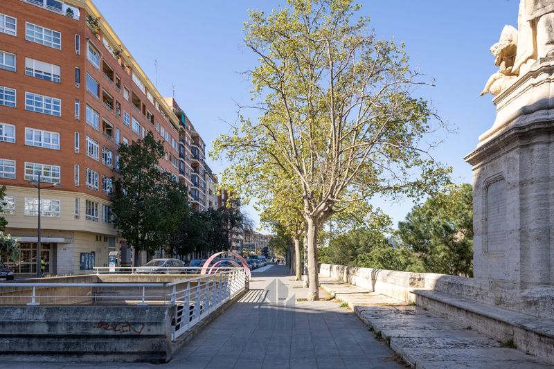 Foto fdfb16ba-be7f-4155-9777-e26242ab20b4. Pis a La Petxina Valencia