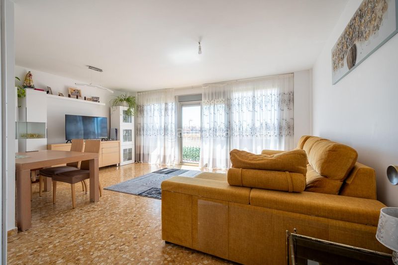 Foto 015c0d02-e346-4432-ba4f-9a9c95645f57. Pis a Albal