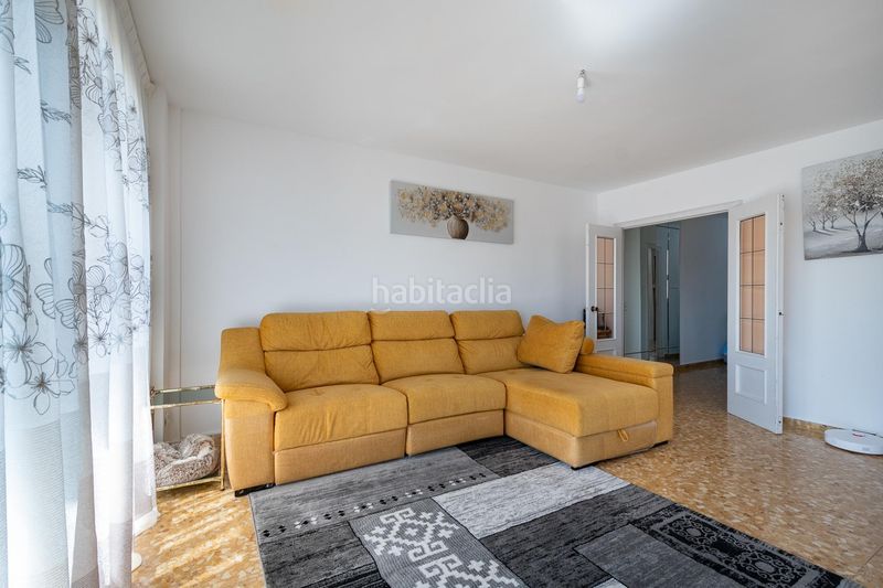 Foto 0abe2787-0c0e-4431-a152-e82c531ae691. Pis a Albal