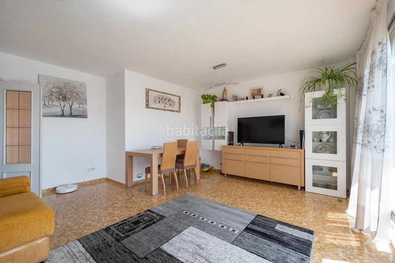 Foto 369d8c89-44f8-4fee-aefc-5b0a0328fa0b. Pis a Albal