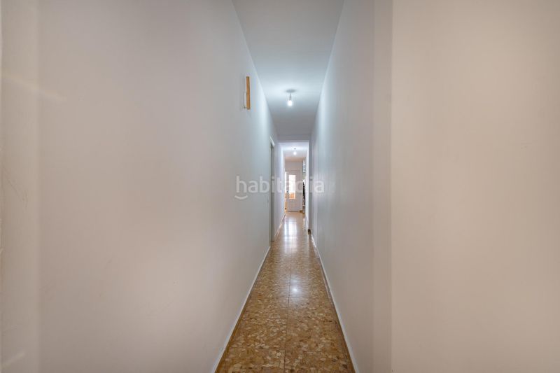 Foto 380c468b-4ecf-41f6-b14b-3d77fa0b7264. Pis a Albal