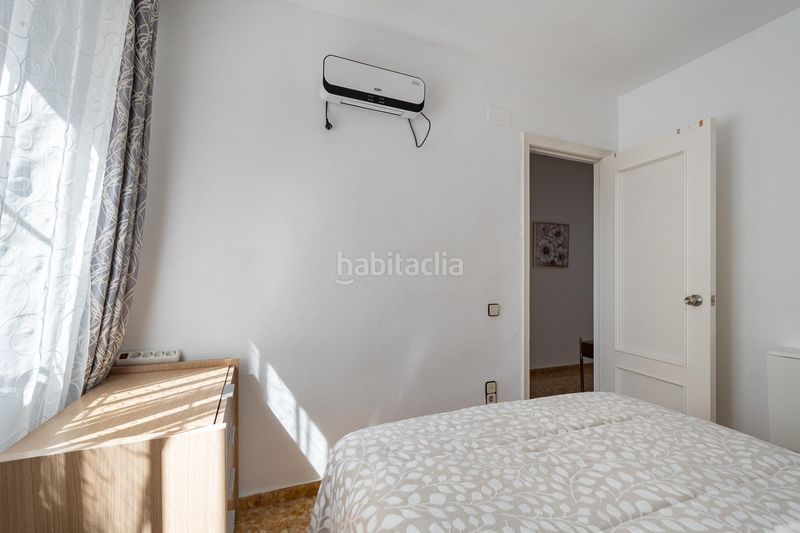 Foto 4fd7f037-4606-4ba2-847b-343bbd0d771c. Pis a Albal