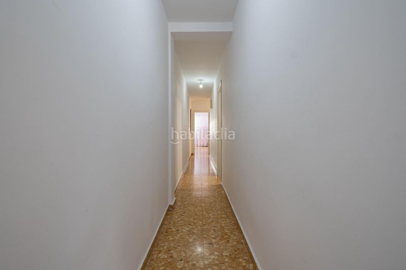 Foto 5700d844-e2ea-44c7-9551-98eebe3d64fa. Pis a Albal