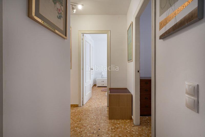 Foto e35e1835-dfe9-4b19-9a88-db5da4e748b6. Pis a Albal