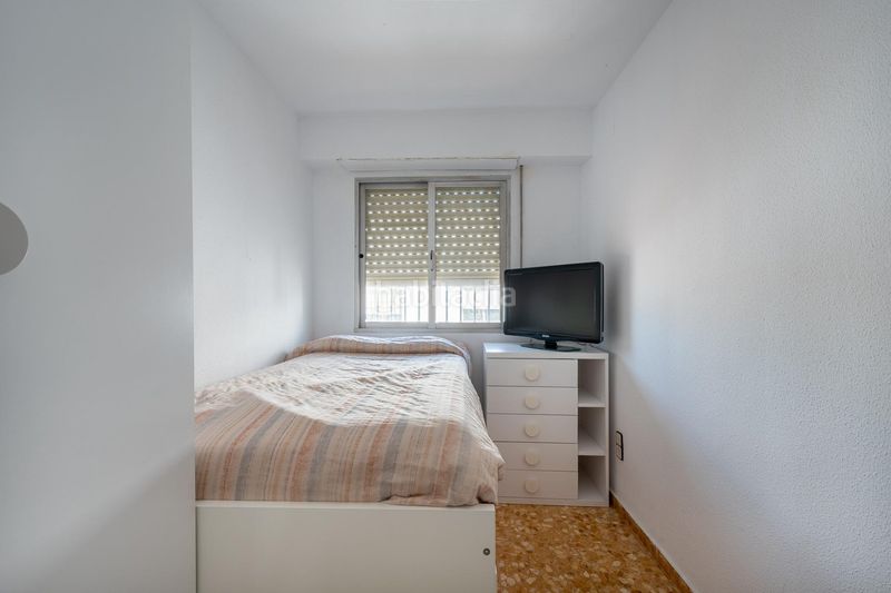 Foto fa1d475e-b50c-4f97-bd21-03065ced254e. Pis a Albal