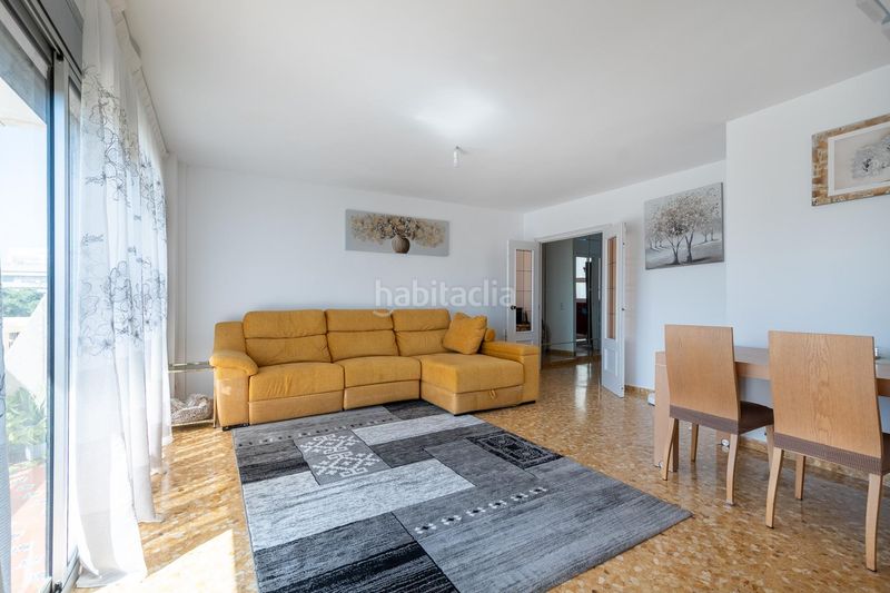 Foto fb111bc5-5d72-49e4-9684-6aaf39e54d0a. Pis a Albal