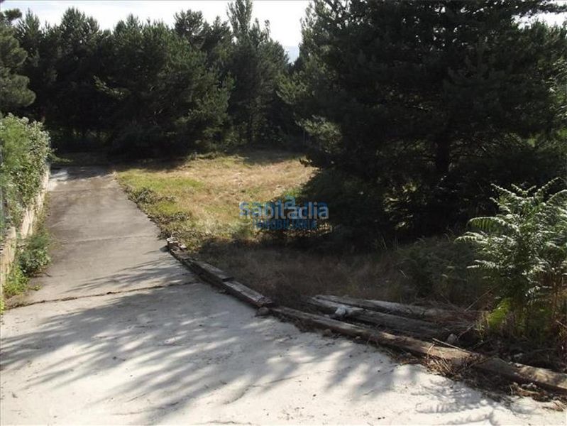 Foto cf61f700-1288-4b5e-a6ed-f9f10ff46418. Finca rústica en Boñar