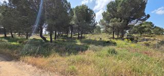 Finca rústica a N/A