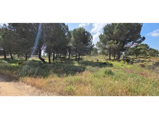 Terreno residenziale in Villablanca. Terreno venta villablanca