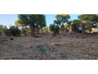 Terreny residencial a Villablanca. Terreno venta villablanca