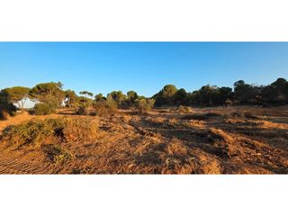 Terreny residencial a Villablanca. Finca rústica en villablanca con opciones de autogestión y módul