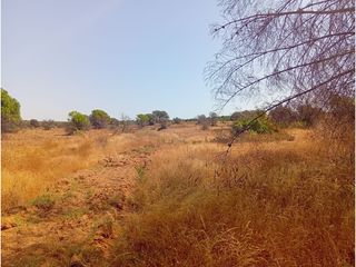 Fondo rustico  Diseminados diseminados. Finca en villablanca a pie de carretera