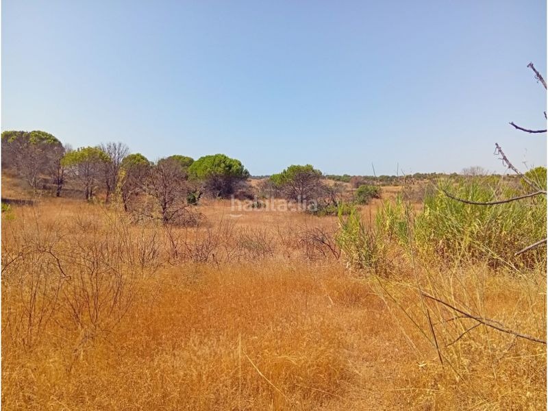 Foto a2d28481-0c12-41d4-82d9-e7955deff8e3. Finca rústica a Villablanca