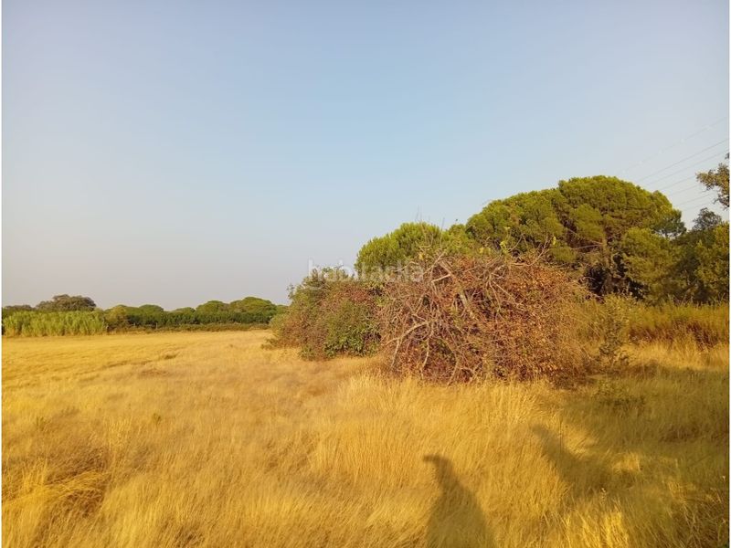 Foto f9073e68-0c4c-4467-ad37-5492aab515ca. Finca rústica a Villablanca