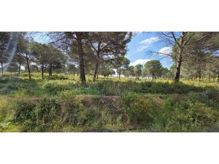 Finca rústica en Villablanca