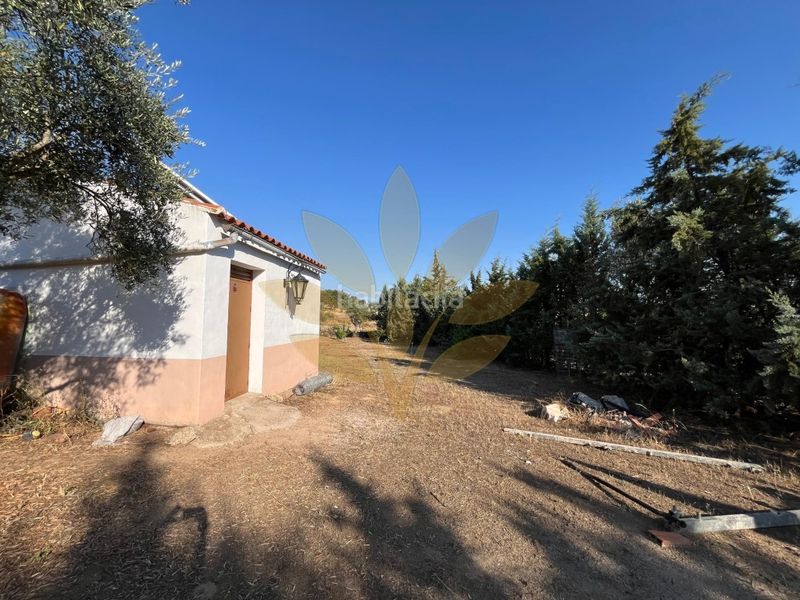 Foto 58c850d4-0e1e-425a-96de-6ad1ab9e7c68. Casa a Arroyo de la Luz