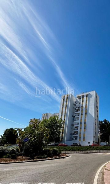 Foto 48acc61f-c6df-4f31-8dfe-11639371136e. Pis a La Plata Jerez de la Frontera