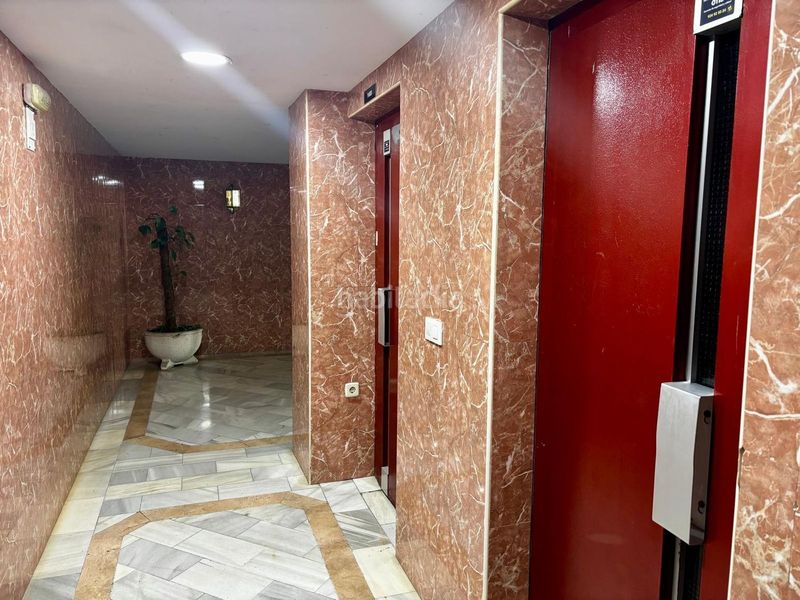 Foto 7b953666-09f9-413b-9599-2b8b17fda856. Pis a La Plata Jerez de la Frontera