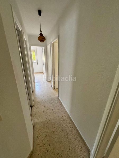 Foto 838ccec7-c4a4-4697-aa61-892828a8ba3f. Pis a La Plata Jerez de la Frontera