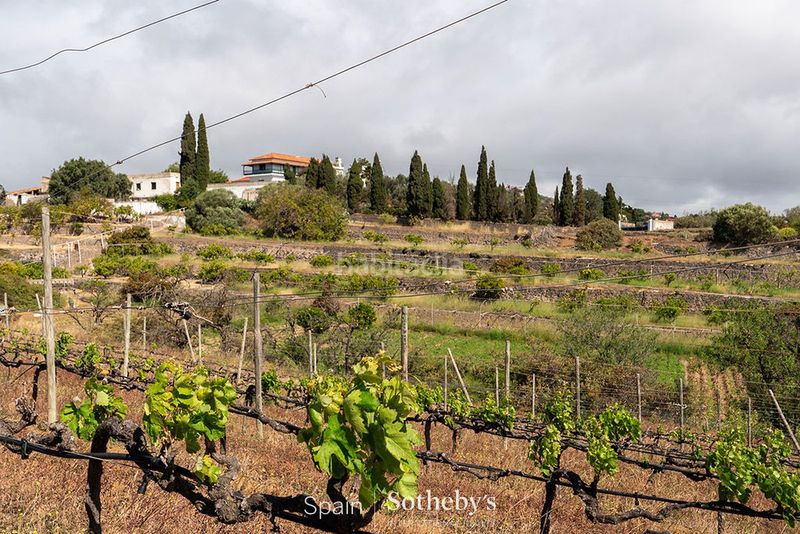 Foto 5c4fa9b6-459c-459e-ad9e-b402e7c5c47a. Terreno residencial en carretera de Telde a santa brígida gc 80 oportunidad de inversión y exclusiva privacidad en una finca de 80.000 m. en Telde
