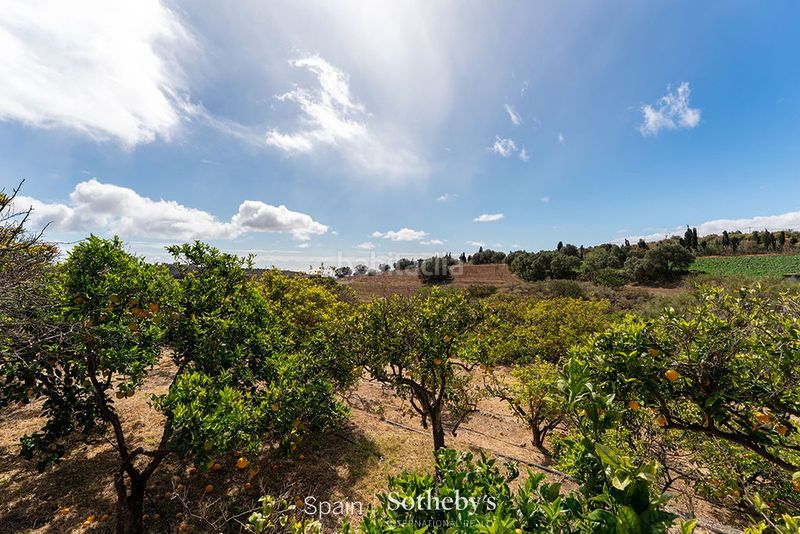 Foto 855d8c45-6d01-4493-99cc-0516b7048e3a. Terreno residencial en carretera de Telde a santa brígida gc 80 oportunidad de inversión y exclusiva privacidad en una finca de 80.000 m. en Telde