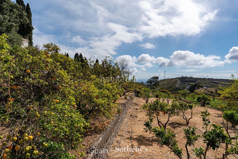 Foto b480ab95-c5b6-4ed5-9767-ef7665b14802. Terreno residencial en carretera de Telde a santa brígida gc 80 oportunidad de inversión y exclusiva privacidad en una finca de 80.000 m. en Telde