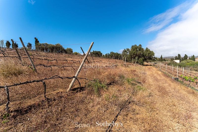 Foto e5862411-c8c6-46f9-9524-627e8bf87aab. Terreno residencial en carretera de Telde a santa brígida gc 80 oportunidad de inversión y exclusiva privacidad en una finca de 80.000 m. en Telde
