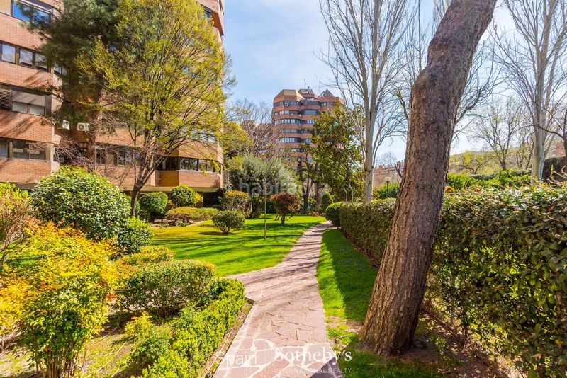 Foto 229fd61d-276d-48b1-8e50-53a7848dfacd. Apartament amb calefacció aparcament a Nueva España Madrid