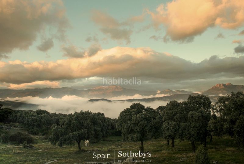 Foto 763b38de-7ac8-488f-a5a7-4e3112adad35. Terreny residencial a Cenicientos