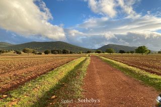 Terreny residencial a Retuerta del Bullaque. Espectacular finca de más de 2.000 hectáreas en los montes de to
