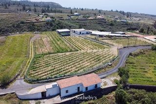 Residential Plot in La Quinta - Taucho. Finca agrícola tradicional con bodega en tenerife sur
