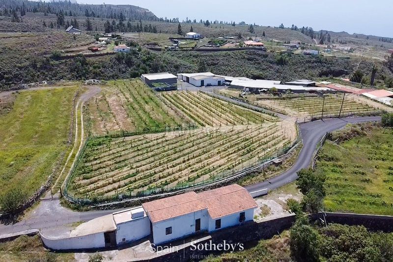 Foto ef02d1f2-70a4-4f63-8451-3b6d7dd6ea05. Terreny residencial a La Quinta - Taucho Adeje