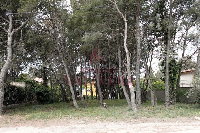 Foto 33d56a67-2791-439f-8f03-3247331c8f32. Terreny residencial a Cabra del Camp