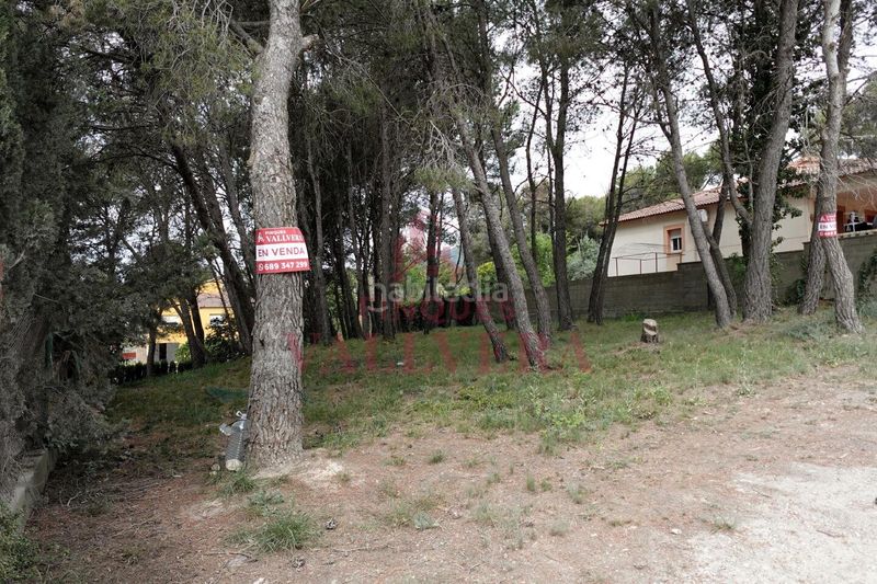 Foto d8620f01-41d3-44d2-9b3e-495e09d89b8e. Terreny residencial a Cabra del Camp
