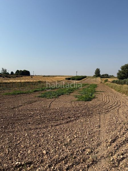 Foto f88abf7e-fea7-4c42-a9cc-b0abe91ff2eb. Finca rústica a Garrapinillos Zaragoza