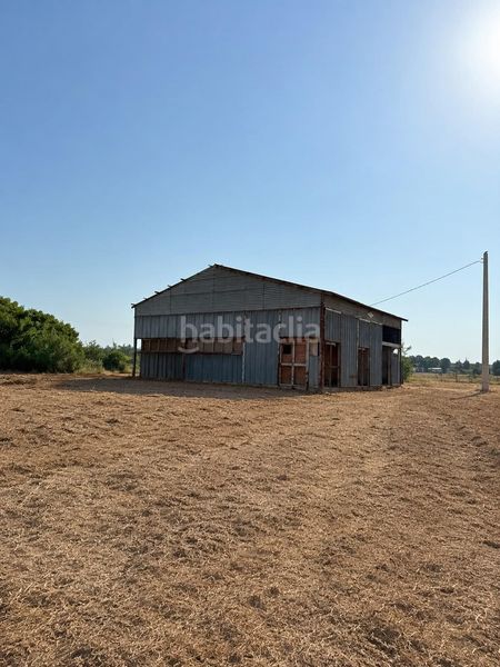 Foto e5ce526b-c4a4-4695-ba73-41ae1bbc02a9. Finca rústica a Garrapinillos Zaragoza