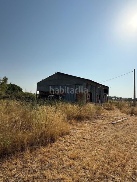 Foto 59a20916-1ad4-4af0-acca-1e71b0d6988a. Finca rústica a Garrapinillos Zaragoza