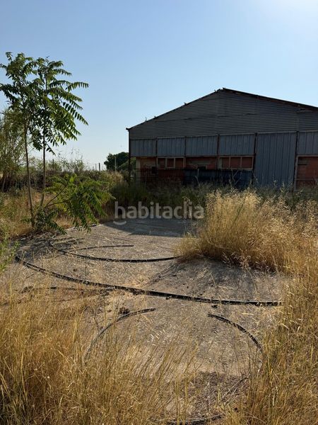 Foto a332dd08-37ac-4e16-9aeb-7196cb3fcac4. Finca rústica a Garrapinillos Zaragoza
