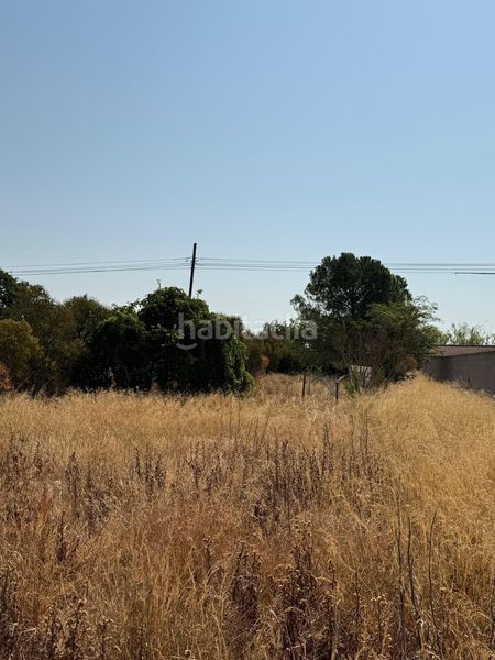 Foto 0cc72835-ef10-4f70-a540-71267f06727e. Finca rústica a Montañana Zaragoza