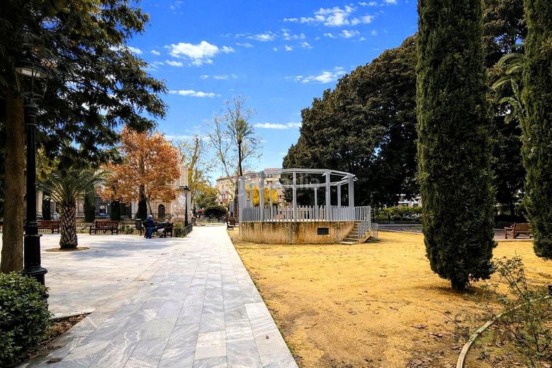 Foto c5d36c5c-5c28-4d1b-9df9-b2c9737ae4b8. Pis a proclamación 4 a El Carmen Murcia