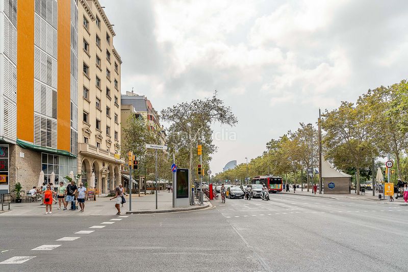 Foto 98907b82-066d-431f-9598-de5a6d270052. Apartament a Barceloneta Barcelona