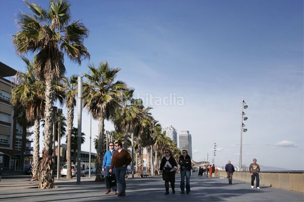 Foto 7fdb75e3-b606-45ba-b3da-40640b2a8b61. Apartament amb calefacció a Barceloneta Barcelona