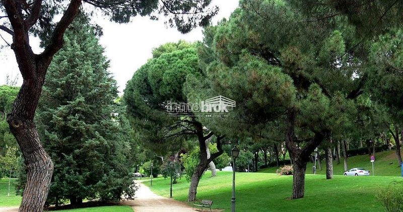 Foto de6cf779-9881-46f8-b3b9-9b9815d7ba61. Pis amb aparcament a Argüelles Madrid