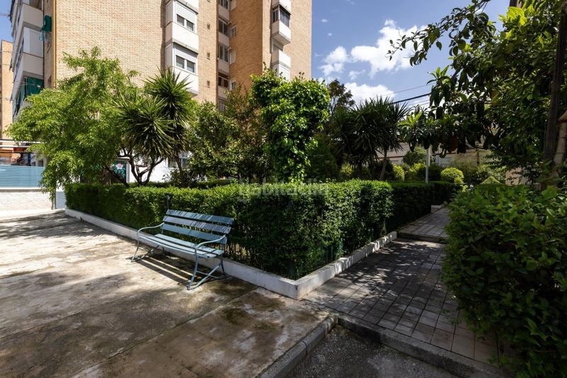 Foto 08540422-285f-4888-be97-46d8f9c873e5. Pis a Haza Grande Granada