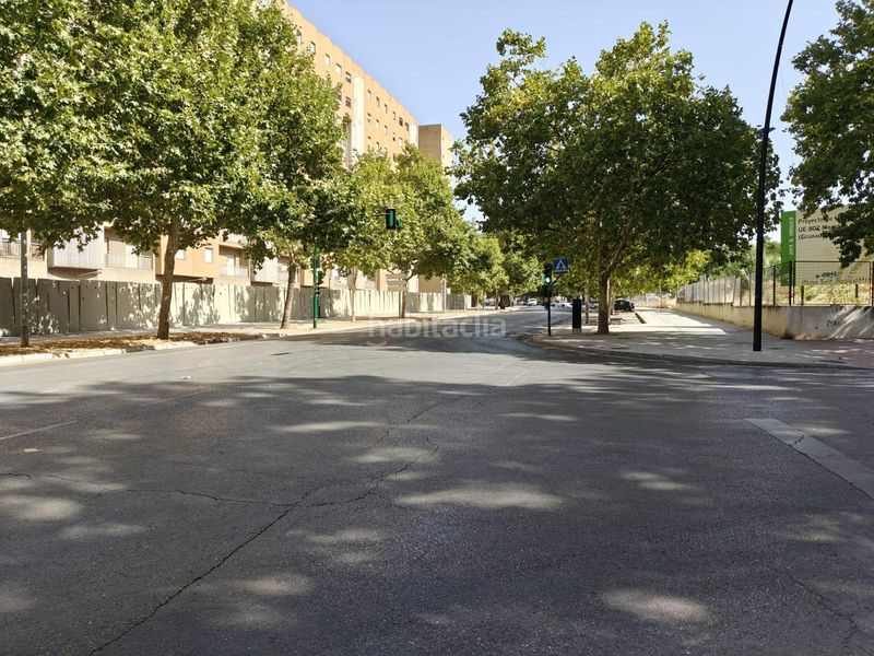 Foto 226166fd-77a3-4540-a853-deb55d216a05. Pis a Cartuja Granada