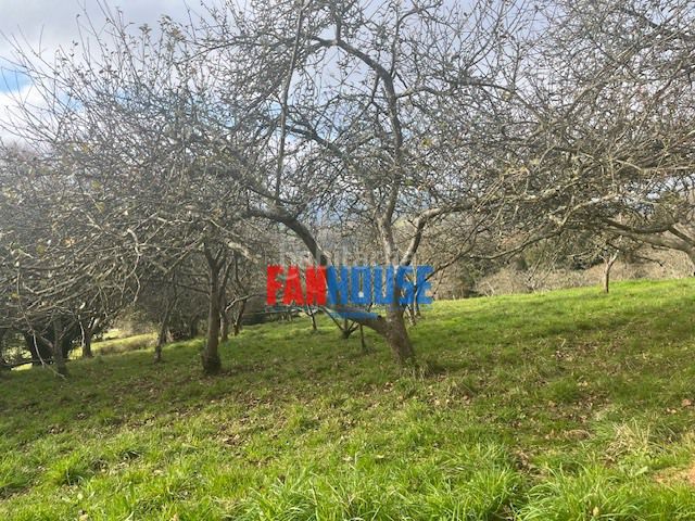 Foto 397eede8-5f79-4b9a-8f69-42f018e80498. Terreny residencial a Huerces Gijón